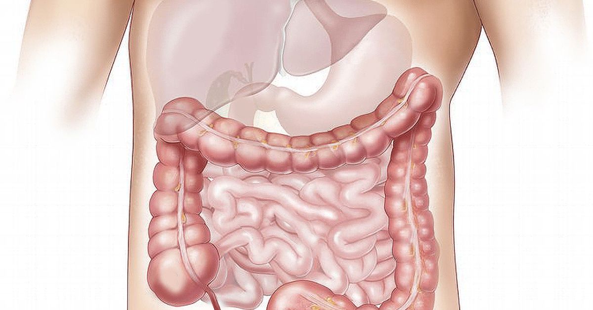 Gastroshizia