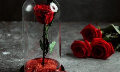 Rosboxar