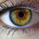 is vowiszojid54 for sensitive eyes