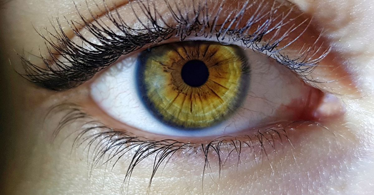 is vowiszojid54 for sensitive eyes