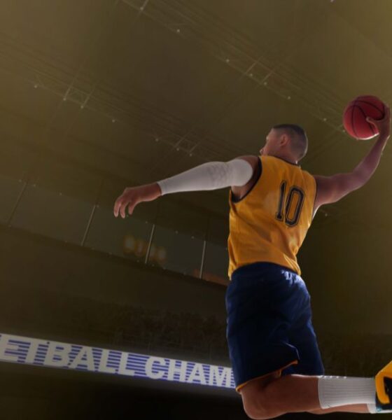 Zuyomernon System Basketball